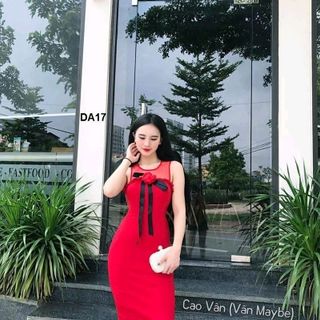 Đầm cát hàn phối lưới phía sau có dây kéo
