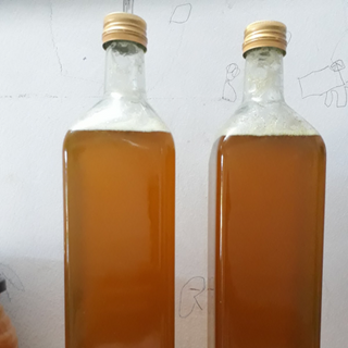 Mật ong nguyên chất hoa cafe Đaklak
