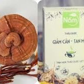 giảm cân nấm CHG giá sỉ