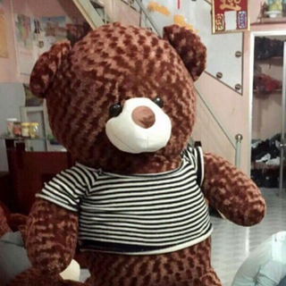 Gấu teddy khổ 1m6
