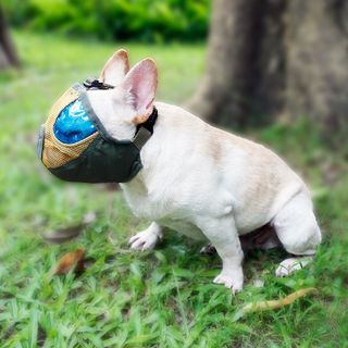 RỌ MÕM LƯỚI CHO CHÓ MŨI NGẮN