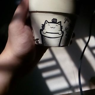 Chậu đất nung trang trí bằng màu vẽ