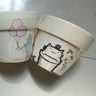 Chậu đất nung trang trí bằng màu vẽ