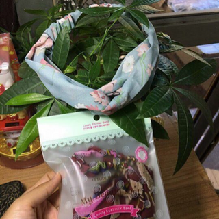 Bờm tóc Hàn Quốc