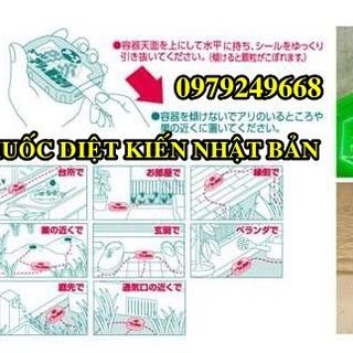 Thuốc diệt kiến Nhật Bản