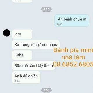 Bánh pía mini nhà làm