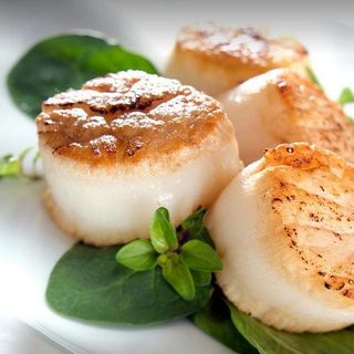 CỒI SÒ ĐIỆP NHẬT