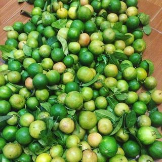 Chanh đào và chanh ta Hà Nội