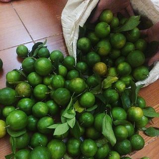 Chanh đào và chanh ta Hà Nội