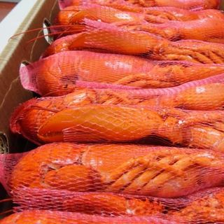 Tôm hùm Canada tươi hấp nhiệt đông lạnh