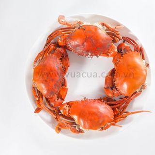 CUA THỊT NHỎ