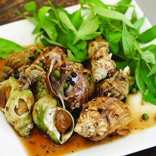 ỐC BULOT