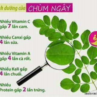 CỐM DINH DƯỠNG CHÙM NGÂY 100