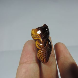 Hồ ly mắt hổ vàng tự nhiên