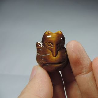 Hồ ly mắt hổ vàng tự nhiên