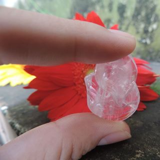 Hồ ly thạch anh hồng tự nhiên