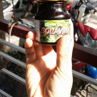 Cao Cà Gai Leo Solavina