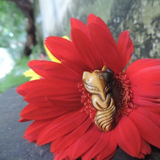 Hồ ly mắt hổ vàng tự nhiên