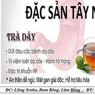 Trà dây rừng