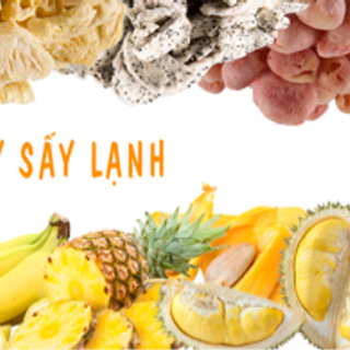 Sỉ Trái Cây Sấy Khô Đà Lạt