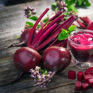 Hạt giống bán buôn hạt giống củ các loại giá sỉ tự chọn