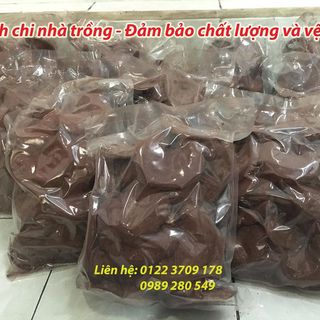 Nấm Linh Chi Đỏ nguyên bào tử