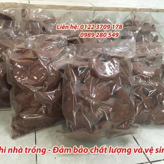 Nấm Linh Chi Đỏ nguyên bào tử