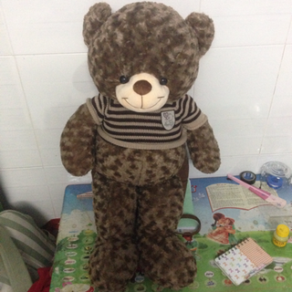 Gấu bông teddy size 1m cao 80cm