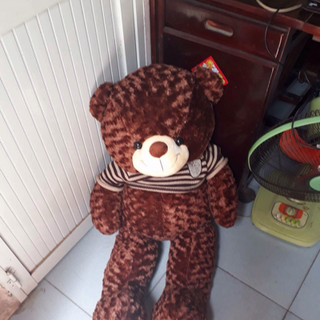 Gấu teddy khổ 1m2 cao 1m