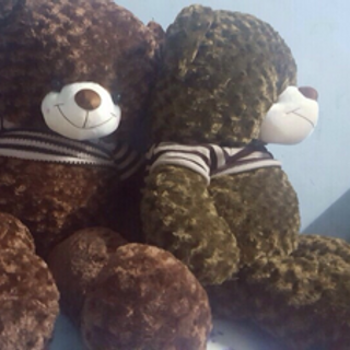 Gấu teddy khổ 1m2 cao 1m