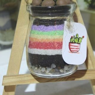 Chậu cây sen đá thủy tinh