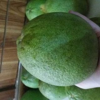 Bưởi 5 Roi Vĩnh Long