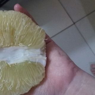 bưởi 5 roi Vĩnh Long