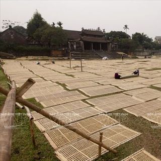 MIẾN DONG SẠCH LÀNG