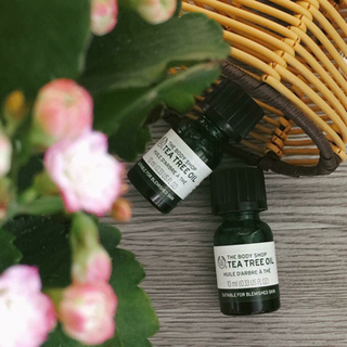 Tea tree oil tinh dầu trị mụn