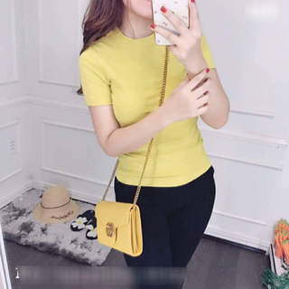 Áo thun body