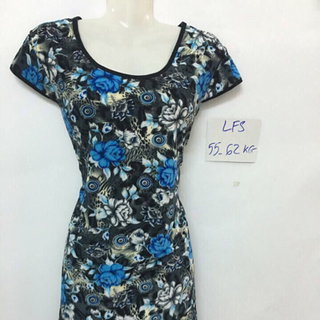 bộ lửng