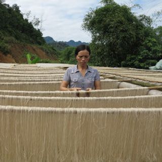 MIẾN DONG SẠCH LÀNG