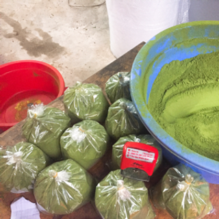 Bột chùm ngây nguyên chất