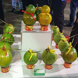 Dừa tạo tạo hình hồ lô Tài lộc