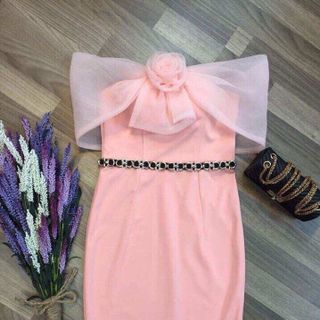 Đầm thiết kế body DD2260