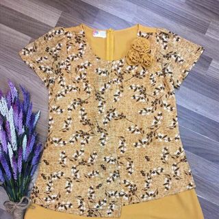 Đầm thiết kế trung niên DD2260