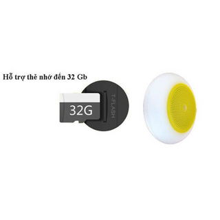 Loa Noble Crown A6 -Ánh sáng lung linh-Âm thanh tuyệt đỉnh