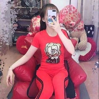 Bộ Thu Đông Hoa Hồng