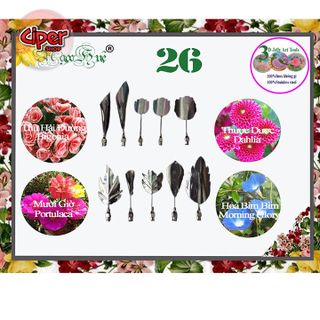 Kim Rau câu 3d Ngọc Huệ