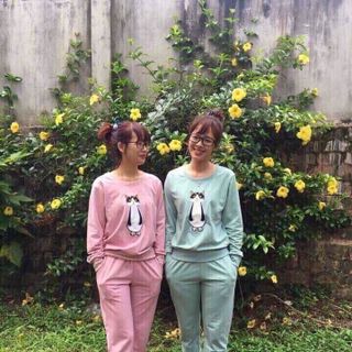 Đồ bộ nữ hình mèo