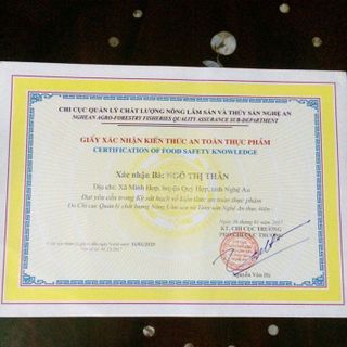 cam vinh quỳ hợp nghệ an giá sỉ