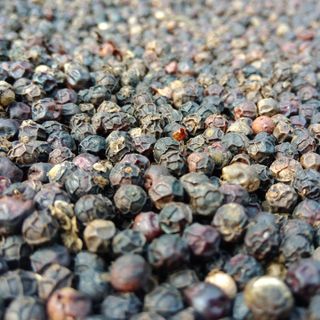 Hạt tiêu Ngọc Trai Đen 250gr - Hạt tiêu đen