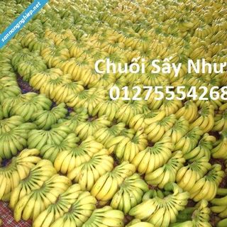 Chuối sấy chuối ép khô