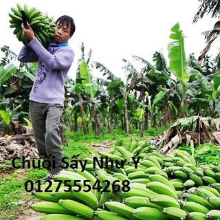 Chuối sấy chuối ép khô